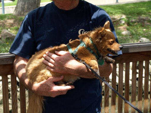Rusty fell asleep in the meeting