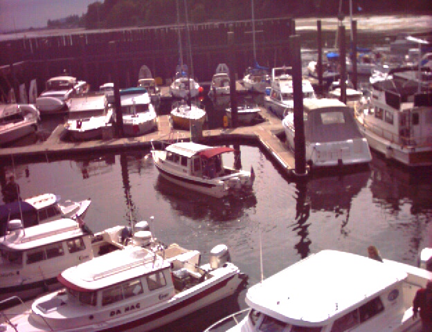 (Ruth & Joe) Daydream & other C-Dory's