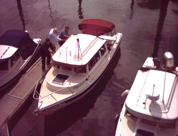 (Ruth & Joe) Daydream