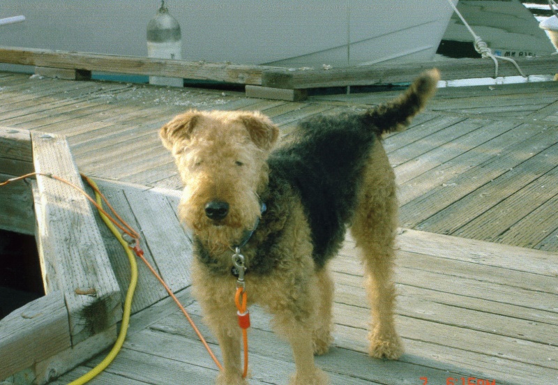 (Ruth & Joe) Winston (C-Puffin)