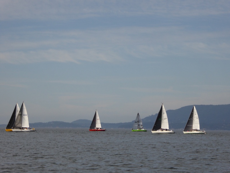 Sailboat racing east of Guemes