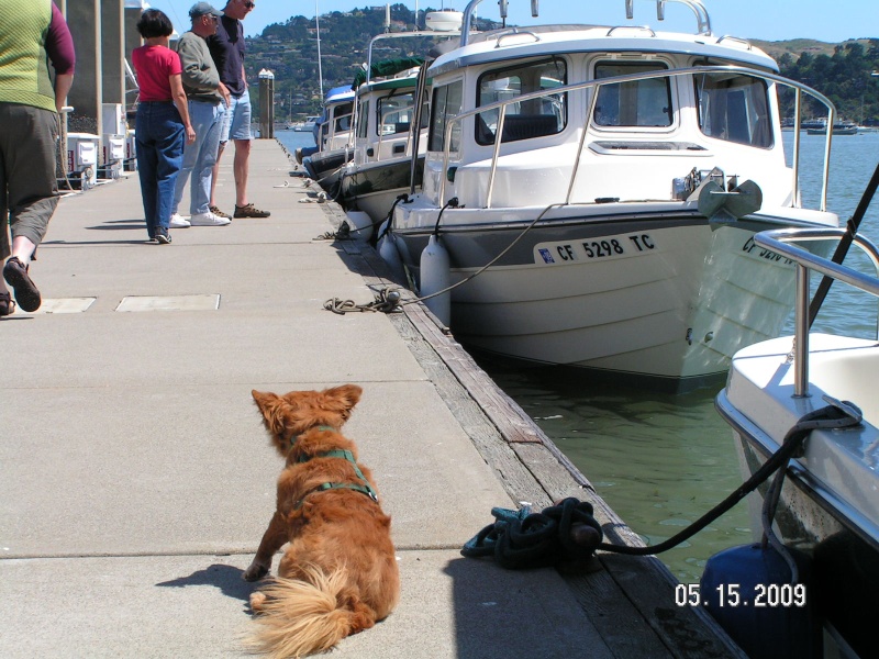 Sausalito
Rusty guarding Dora~Jean
