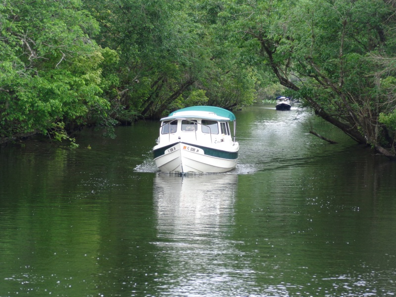 Seafari followed by The Pegstan.