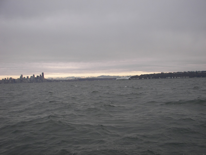 Seattle Skyline.