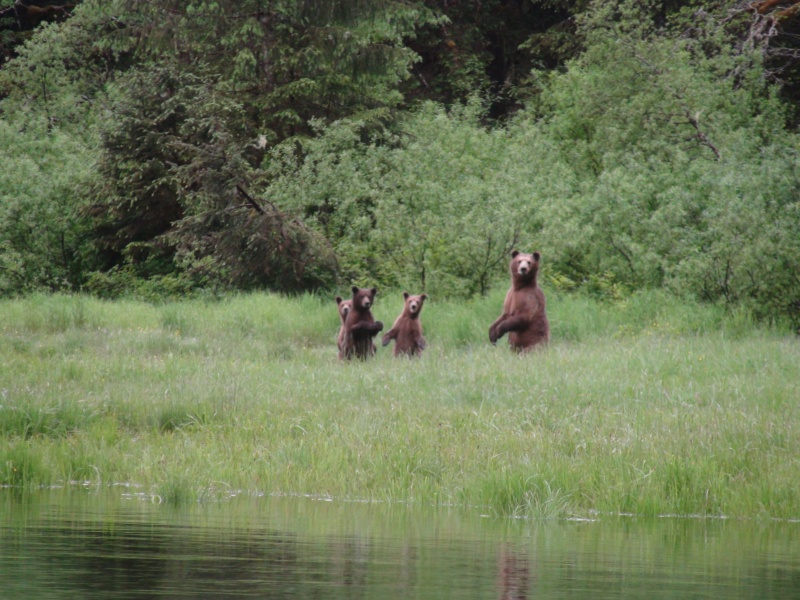 She\'s thinking.  Are you a threat?