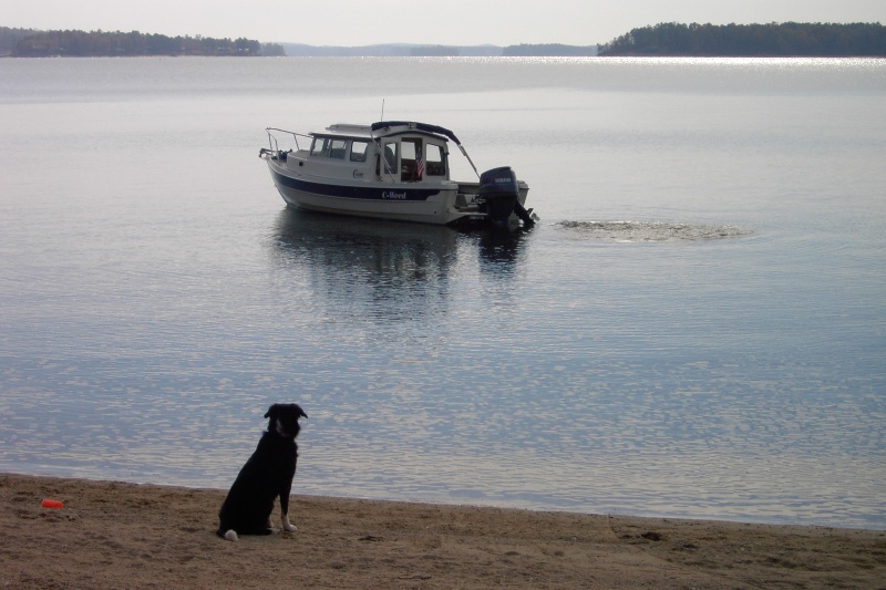 She's thinking; What a great boat...