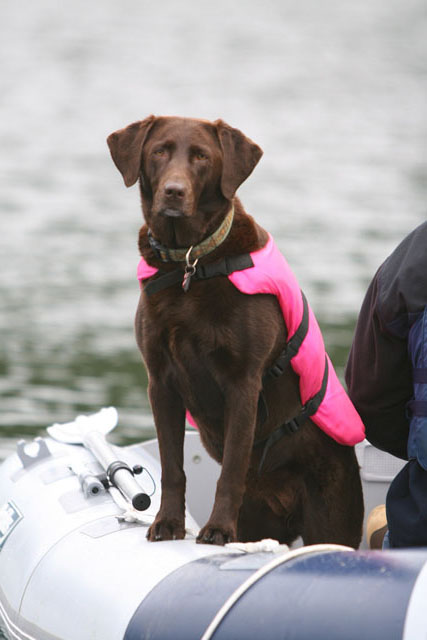 ShiRoz's first mate