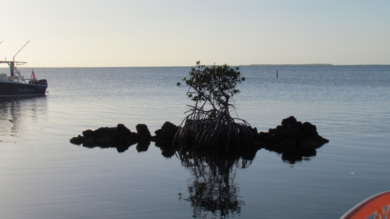 shot from the Marker 88 restaurant Islmorada