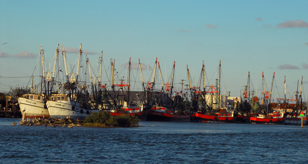 Shrimp boats