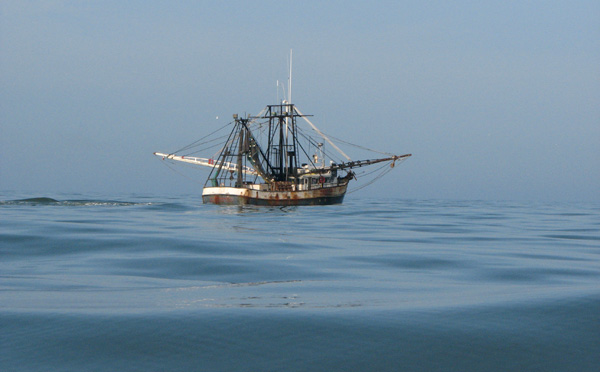 Shrimper in the Gulf