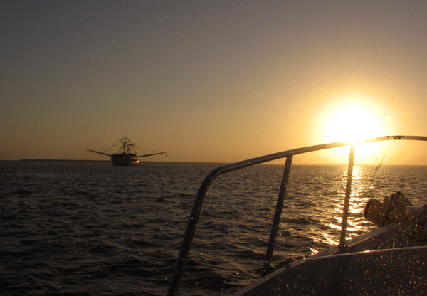 Shrimper in the sunset