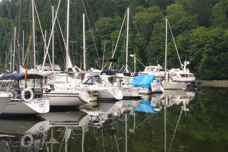 Snug Cove