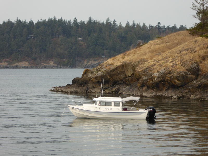 South cove of Saddlebag island. Guemes Island in background.
