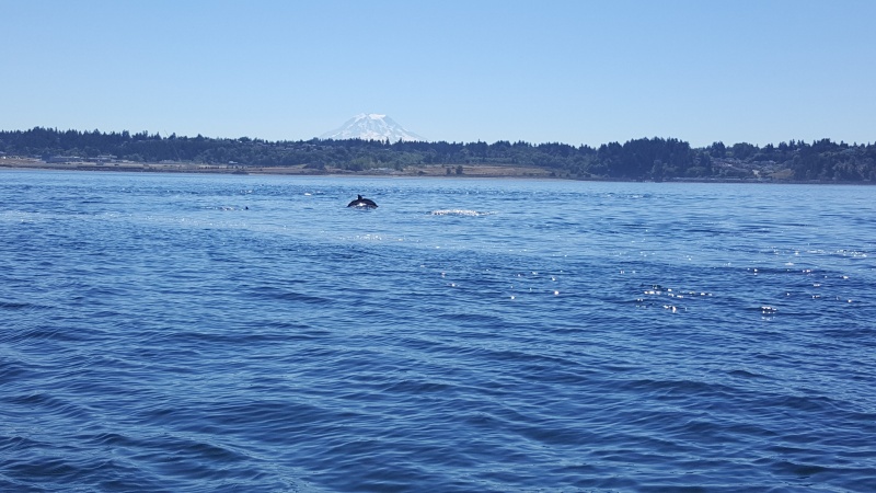 South Sound