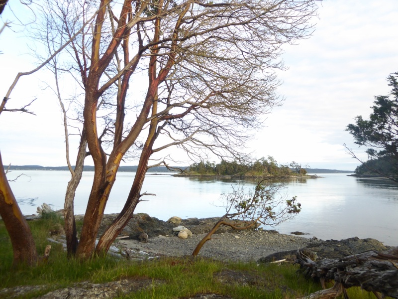 South tip of Turn Island