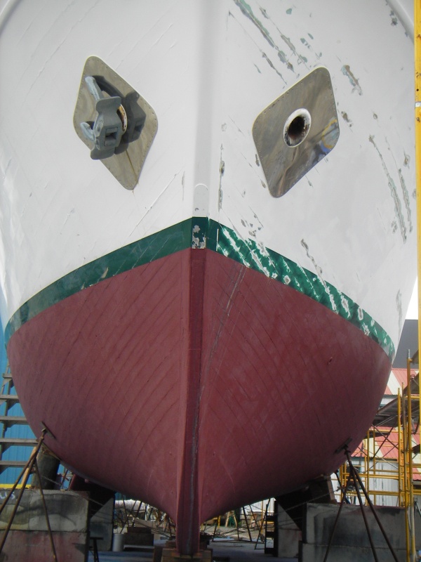 SSC CPR and Patient 015