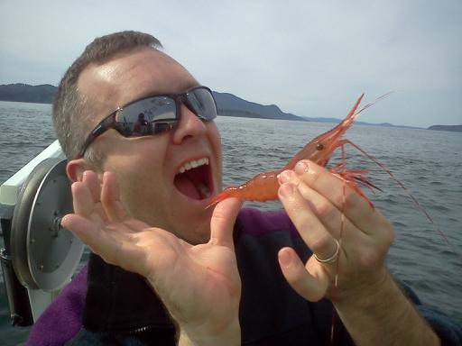 Sucia Island Shrimp May 2011