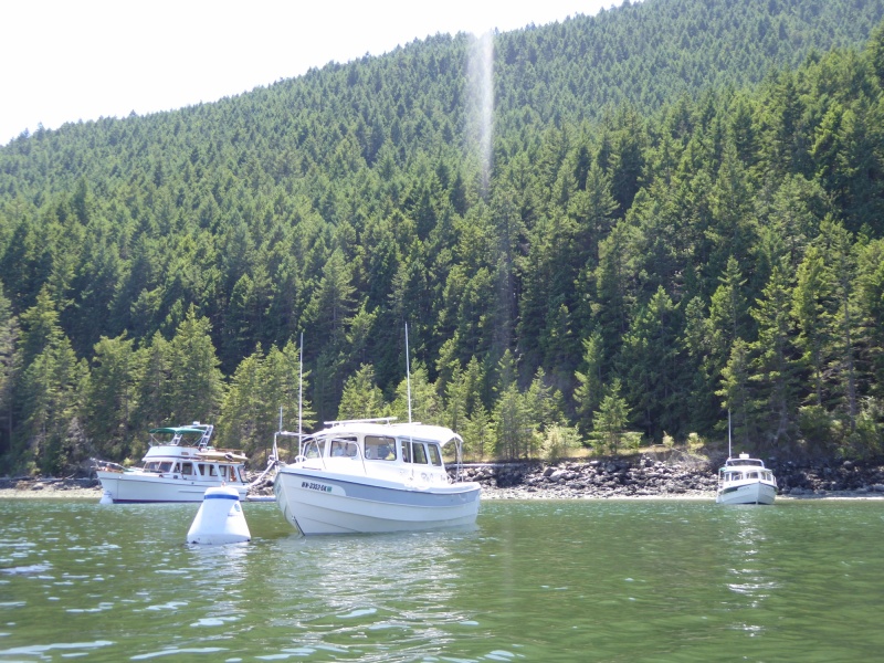 Sun beating down on a hot Saturday afternoon in July