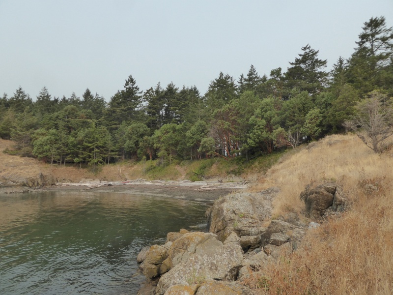 Sun trying to break through the haze on the South beach. This was about as bright as it got, around 11:30 AM.  From here the haze only got thicker to the point is seemed like a cloudy day.