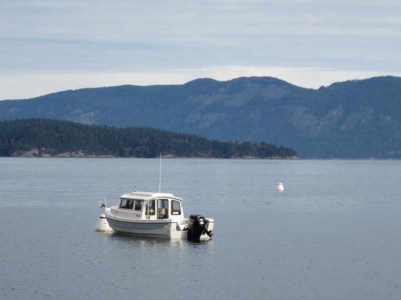 Sunday morning at Cypress Head