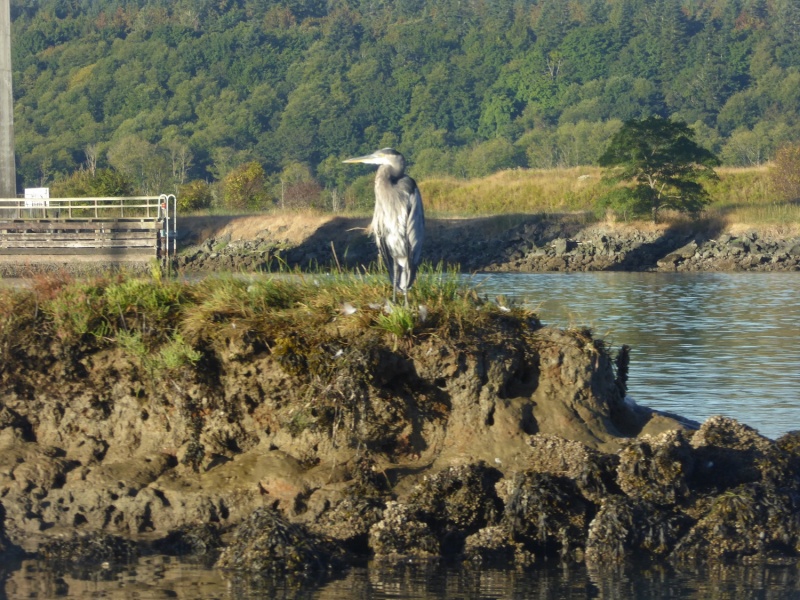 Sunday morning leaving Twin Bridges