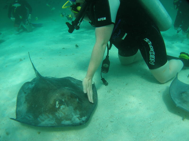 Susan petting stingrays.....Very velvety