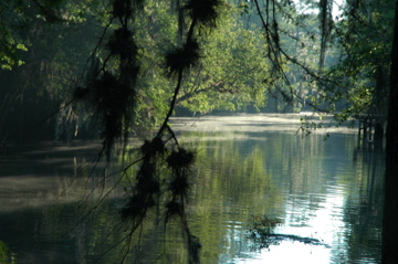Suwanee River