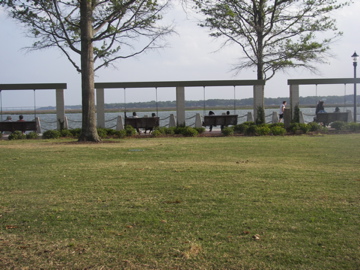 Swings along Riverfront  Beaufort  S.C.