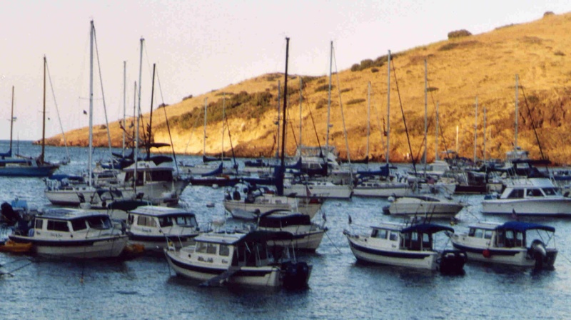 Symphony in C: Catalina '05