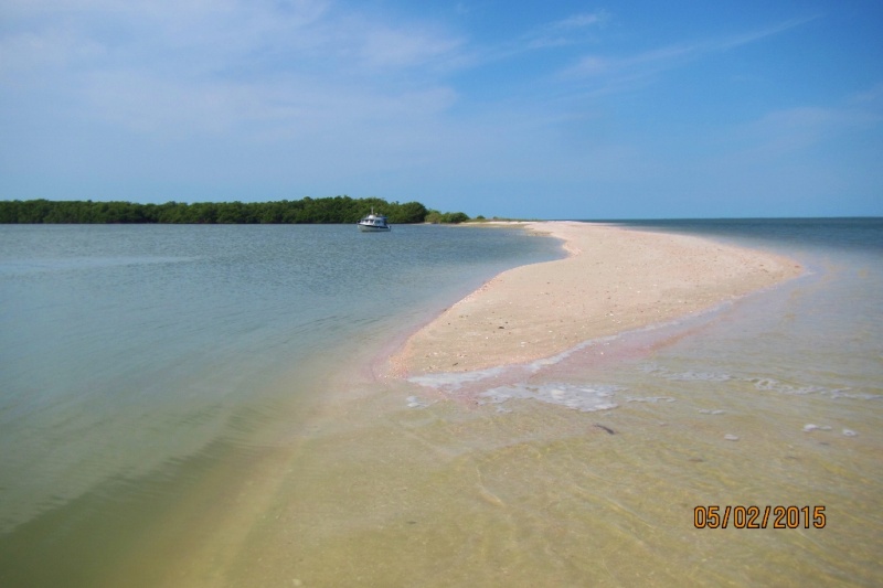 Ten Thousands Islands May 2015
Gullivan Isl
