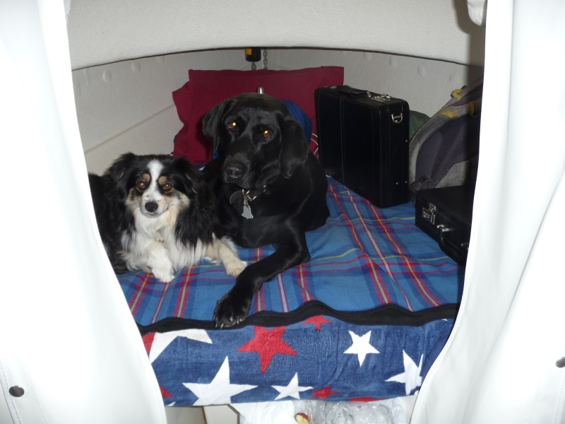 Tess & Annie..Boat Bums