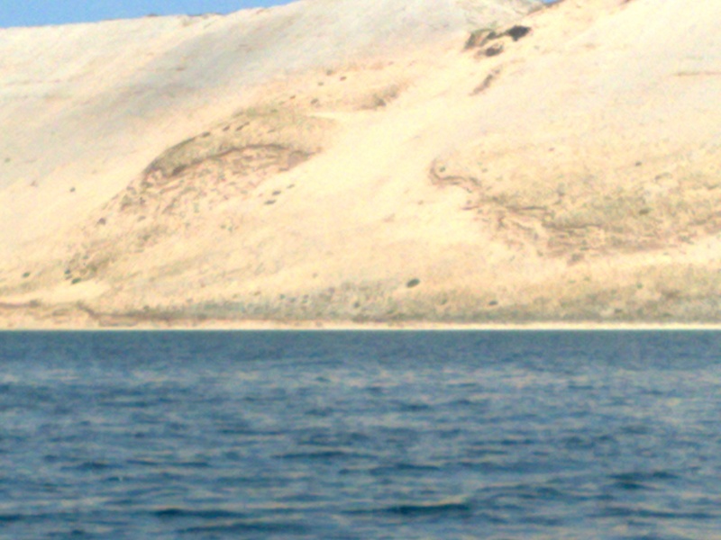 That is a six hundred foot tall sand dune!