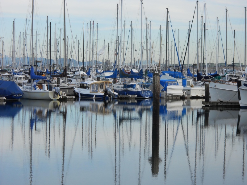 The "Betty Ann" holding its own with 27' to 37' sailboats at Anacortes Slip J32.
