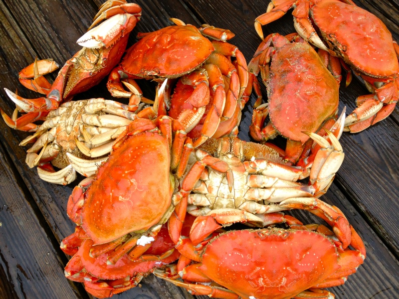 The boat ahead of ours was selling crabs for $5.  But then we met a nice man who was cooking his crabs on the dock.  And he sold us COOKED crabs for the same price.  What a deal.  Needless to say, we had a fabulous lunch!