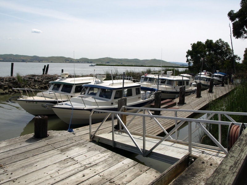 The lineup at the Wheeler Island Duck Club on the first night.