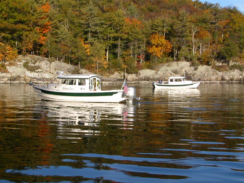 The "pack" in partridge Cove