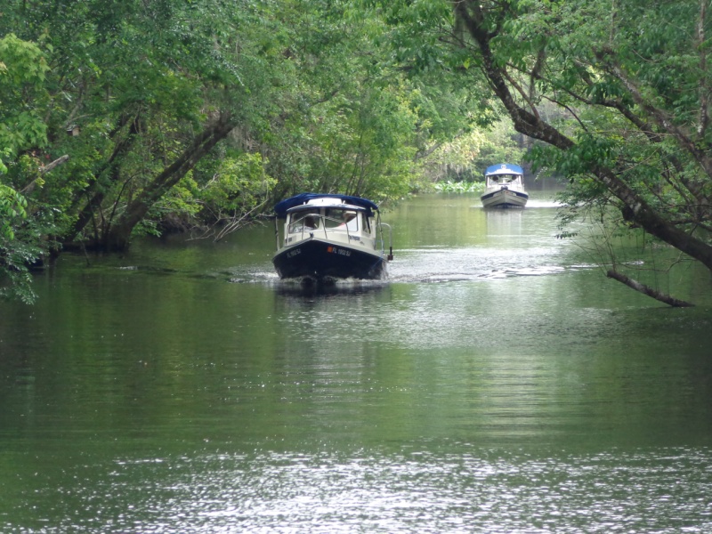 The Pegstan followed by the Oklawaha Queen.