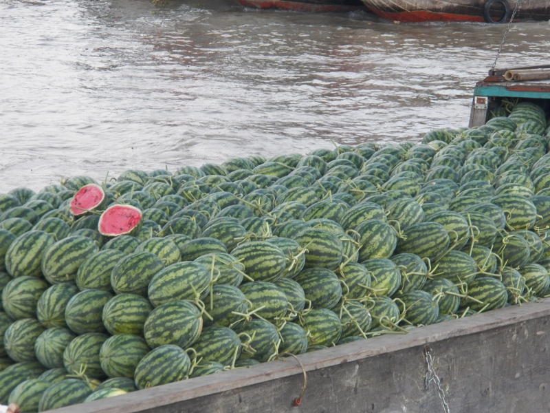 The watermelon man.