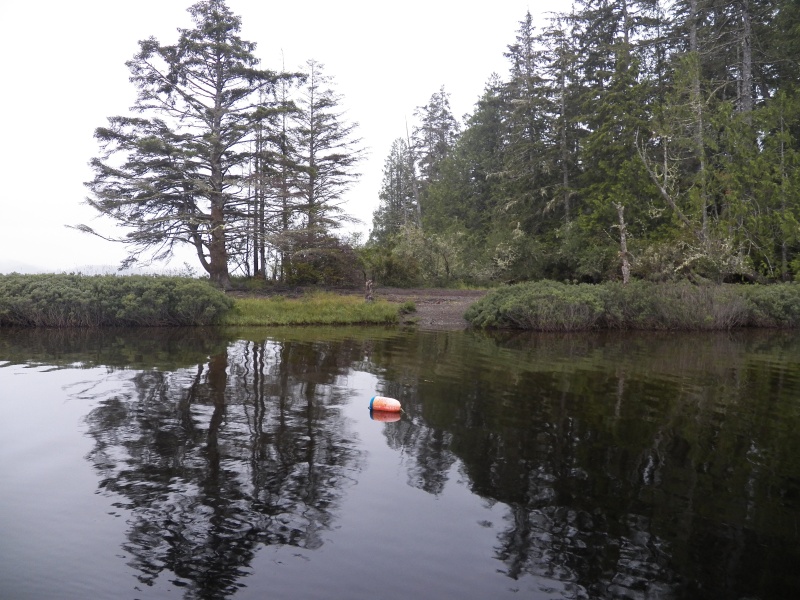 This could be a mooring buoy in front of this camp area or a marker for a submerged rock.  Probably the latter.