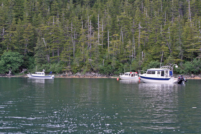 Three of the C-Brats at anchor in Day Care Bay.