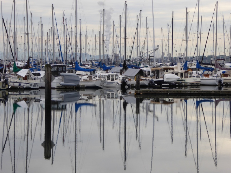 Tied up in a friends slip while I walk up town for a bit