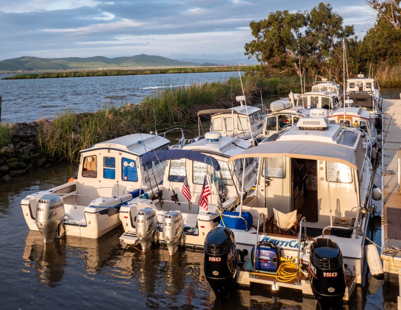 Tight mooring at the duck club