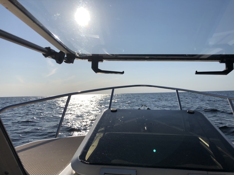 To all those in the PNW I thought I?d share some sunshine