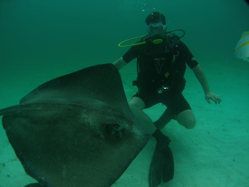 Tommy and sting ray Fred