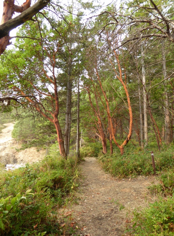 Trail on south side of island