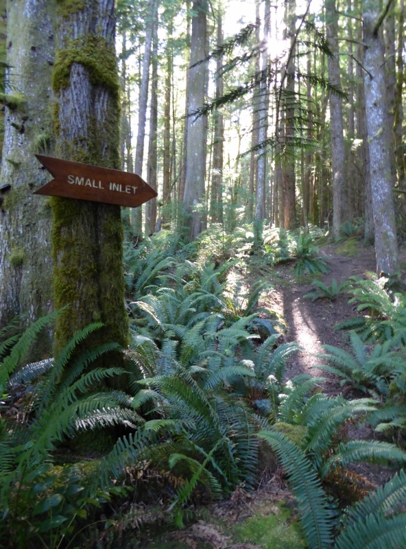 Trail to Small Inlet and Newton Lake
