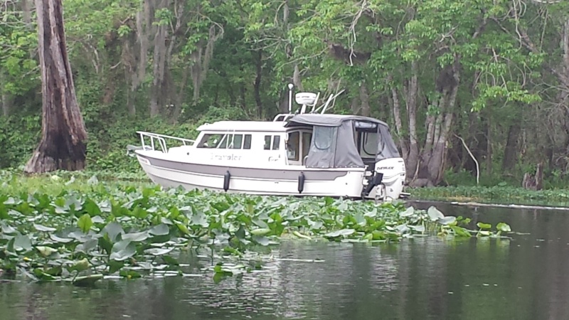 Traveler leads our safari