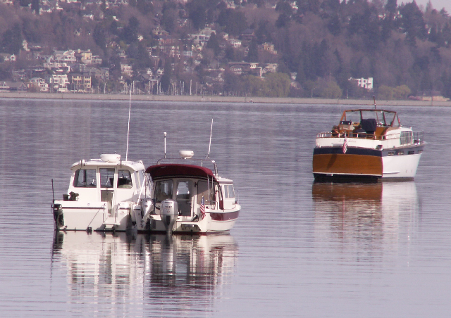 Trophy and Daydream and Cool Retro Yacht