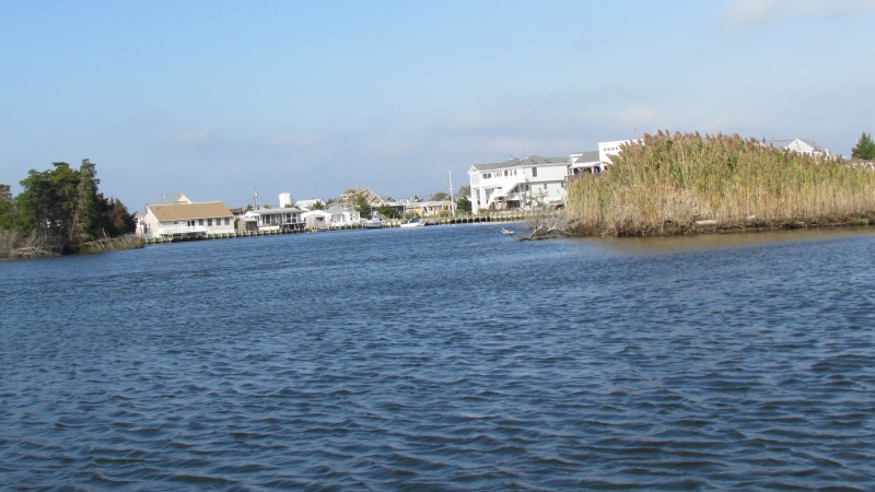 Tuckerton creek