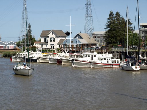 Tug Reunion at Petaluma